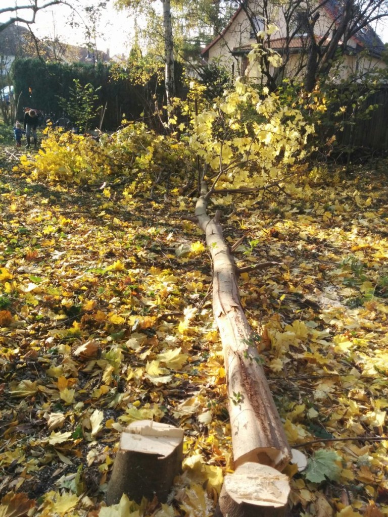 blog_2015-10-28 14.02.18