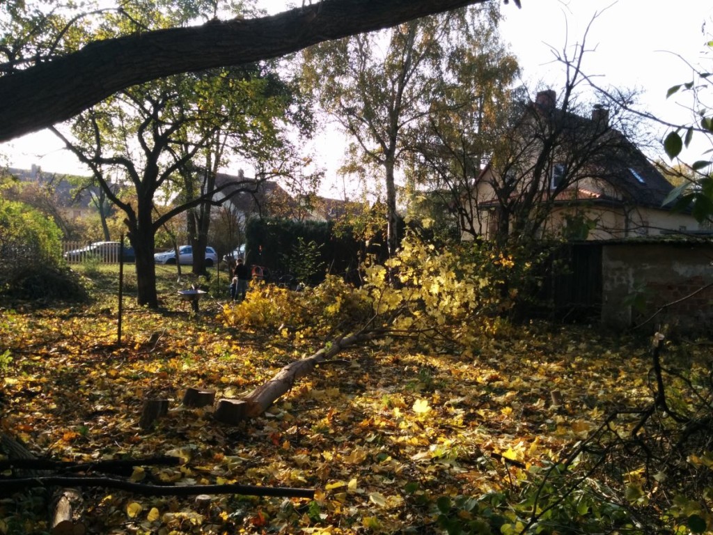 blog_2015-10-28 14.02.28