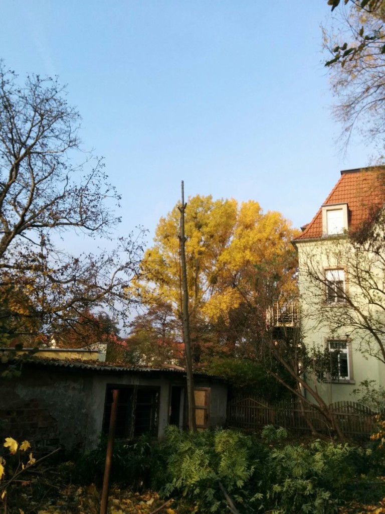 blog_2015-10-29 14.40.00