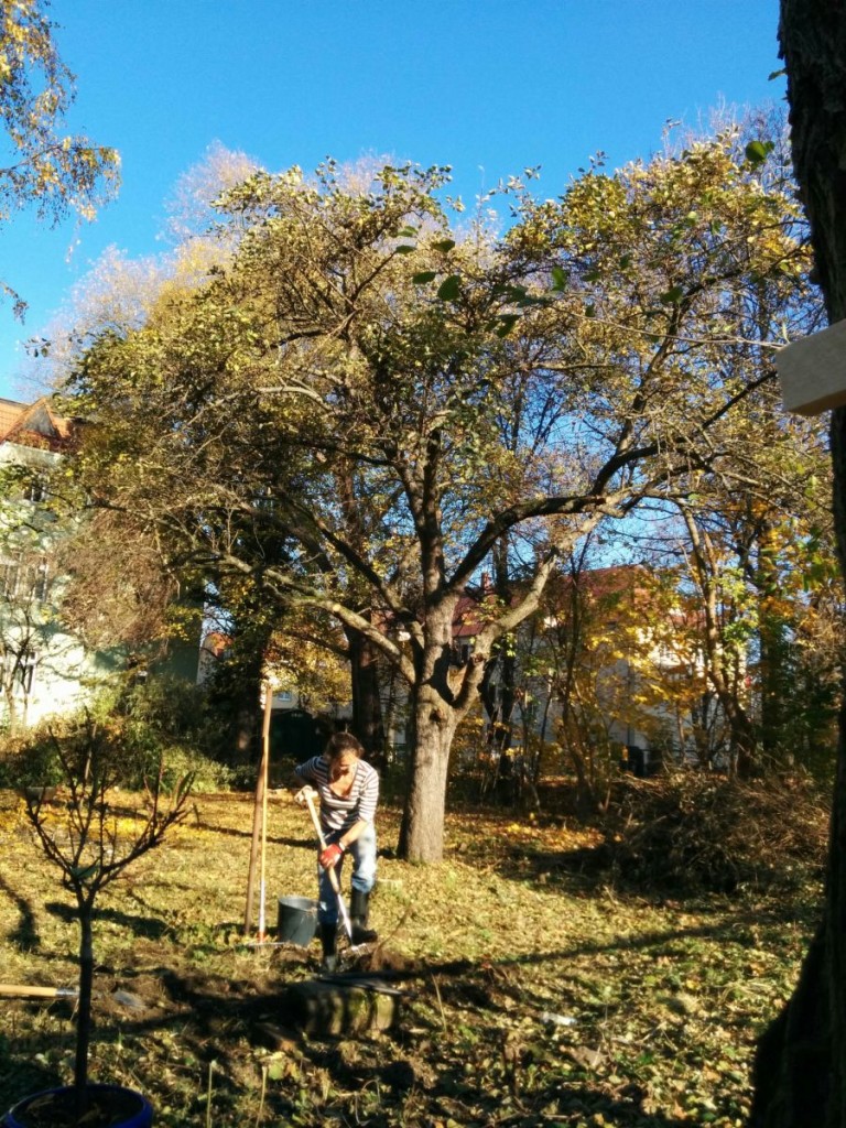 blog_2015-11-03 13.33.28