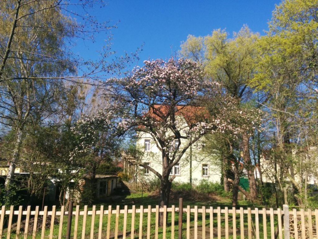 blog_2016-04-21 16.38.29