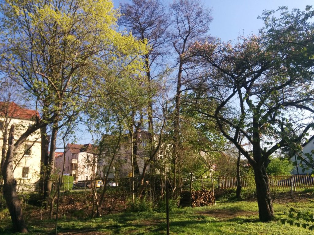 blog_2016-04-21 16.42.32
