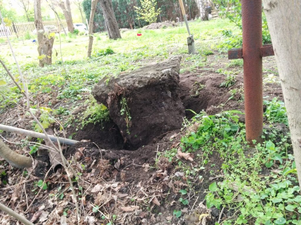 blog_2016-04-30 14.43.57