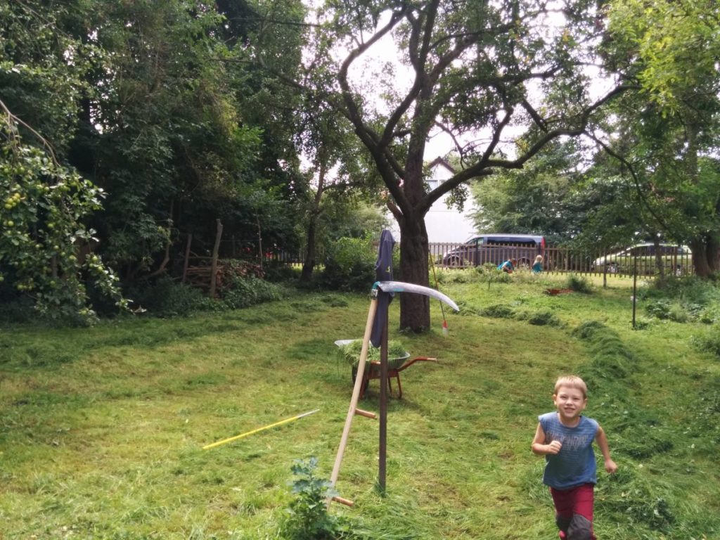 blog_2016-08-06 12.49.32